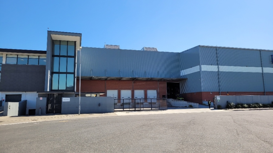 To Let commercial Property for Rent in Airport Industria Western Cape